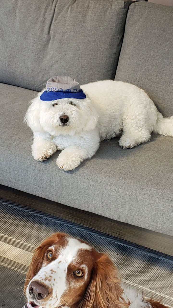 Stella and hank with hat