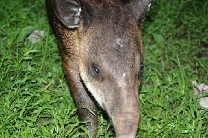 CostaRica 2010 05 22  210